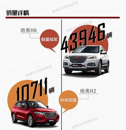 網通社汽車佳木斯安信 專業銷售服務，驅動龍江出行新體驗